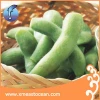 High quality wholesale food boiled bulk frozen soybeans