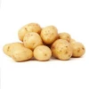 High-quality Yellow  Fresh Organic Vegetable Nutrition Sweet Potato