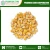 Import High Quality Yellow Maize Corn Supplier India from India