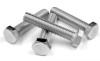 High tensile  stainless steel  ANSI/ASME B18.2.1 hex bolts