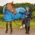Import Horse Fleece Rugs from India
