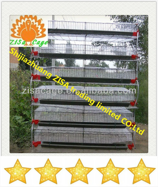 Hot dip galvanized 6 tiers manufacturers quail cage price
