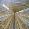 Hot Sale Broiler Poultry Farm Equipment In Ghana