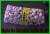 Import Hot Sale Fresh Purple Garlic from China