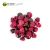 Hot Sale Private Label Freeze Dry Blueberries Type Food Freeze-dried Berries Fruits Powder Freeze Dried Blueberry