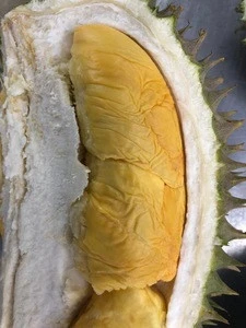 Hot Selling Fresh Fruit King Durian D101 Red Prawn Whole Durian