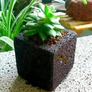 houseplants landscape lava stone pot volcanic rock flower pot pumice stone bonsai pot