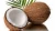 Import Indian Fresh Semi Husked Coconut from India