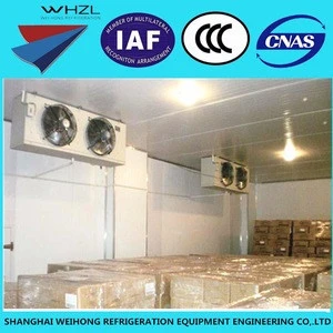 Install Food Refrigeration Freezer Cold Room project Foreign