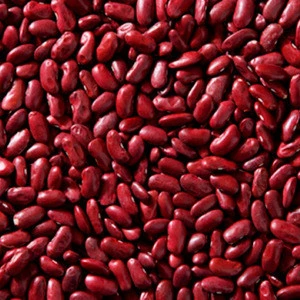 Kidney Beans Product Type and Vacuum Pack Packaging kidney bean