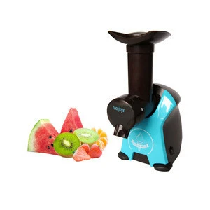Kitchen Small Ice Cream Maker Machinery For Fruit