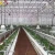 Import Large greenhouse project  with steel construction high quality japan melon  growing system from China