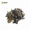Large supply of Chinese herbal medicines Poisonous weeds Small poisonous grass Bulk high quality Toxic