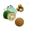 manufacture supply competitive price organic natural monk sweetener Luo Han Guo Powder Monk fruit extract