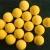 Import Manufacturers customized Neon  High elasticity Indoor Practice Golf ball from China