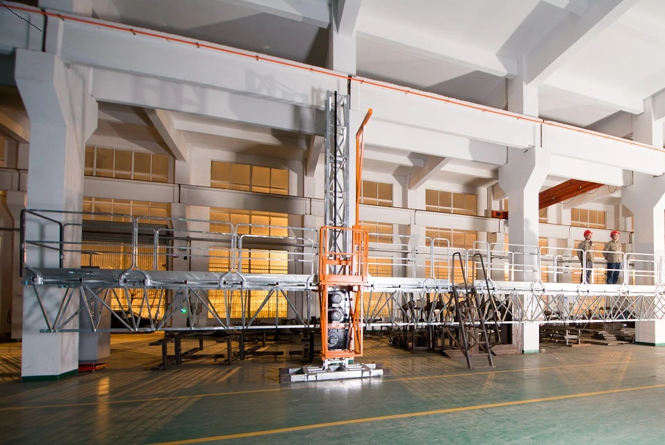 Mast climbing working platform made in China with load limiter and governor