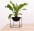 Import Metal Modern Flower Pots &amp; Planters For Home Decor Flower Stand In The Garden from China