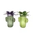 Import Modern Decorative Cactus Shape Glass Jar Led Light Solar Panel Sun Powered Garden Solar Light Outdoor Party Holiday Lighting from China
