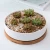 Import modern wholesale white succulent pots ceramic plant flower pots with bamboo tray from China