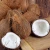 Import Natural Fresh Coconut For Wholesale from South Africa