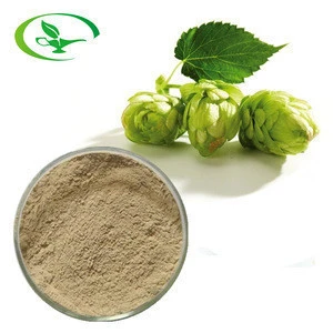 Natural Plant Extracts Hop Flower Extract Powder with Free Sample