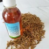 Naturally Insect Mealworm Oil for Pet Food