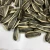 Import new crop chinese roasted sunflower seeds from China