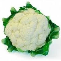 new crop fresh cauliflower