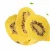 Import New Crop Sell Well Premium Fresh Yellow Kiwi fruit Pulp  Organic Standard Heart Kiwi Fruit from China