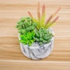 New design marble effect fake plants artificial succulent plants for indoor decoration