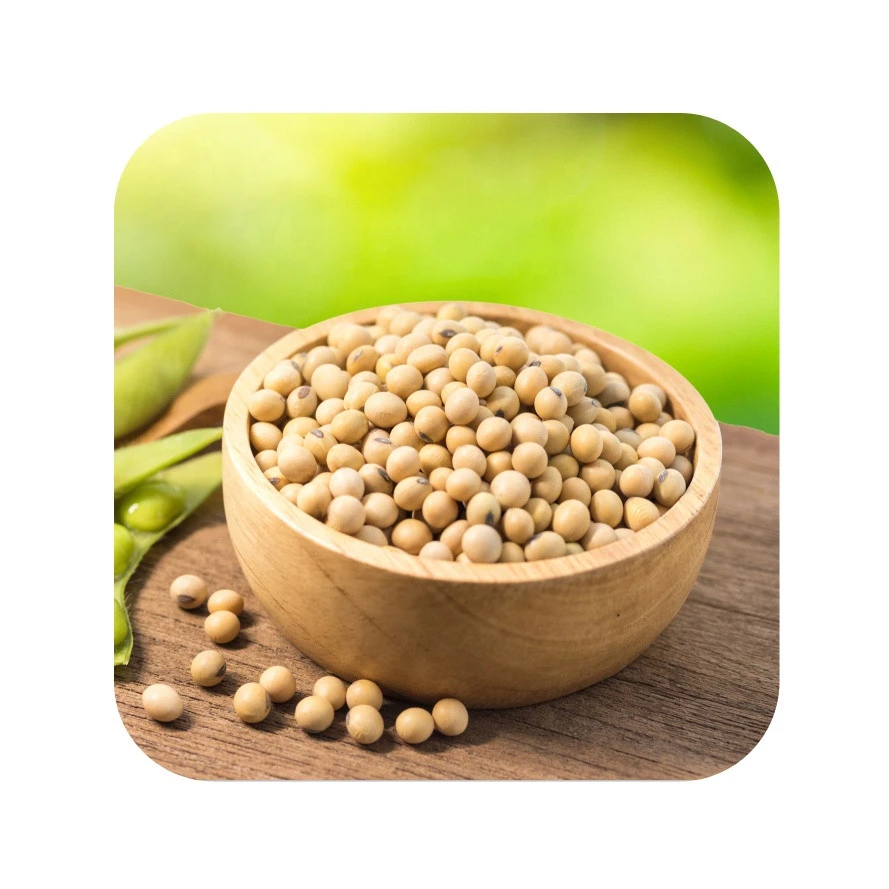 Non gmo soybeans, buy in bulk wholesale