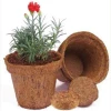 Nursery Coir Pots Exporters from India