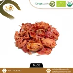 Nutmeg Organic Spice Nutmeg Mace
