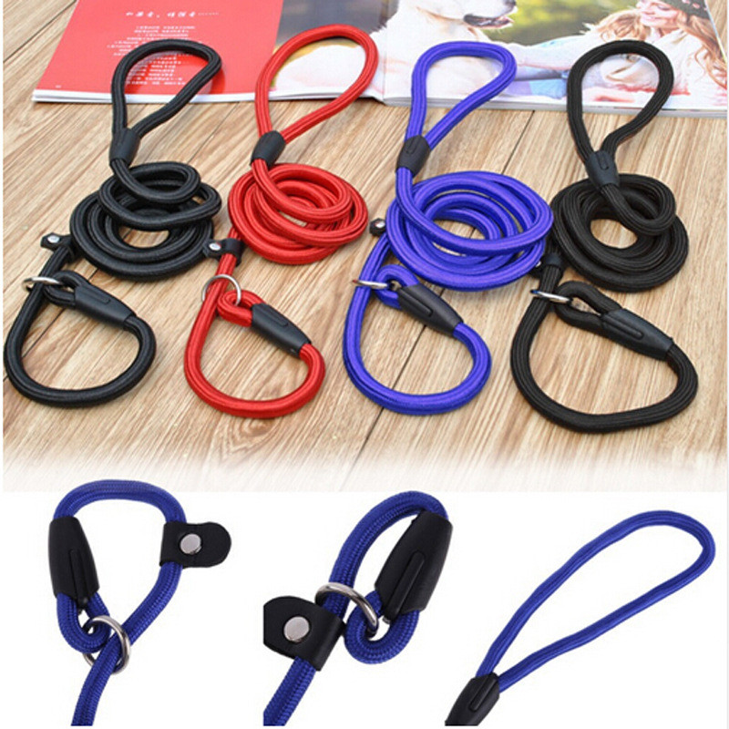 Dog Throw String Buy Nylon Weave With Spring Pet Dog Traction Rope Dog Leash from Hebei ...