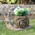 Import Outdoor garden resin animal shape tortoise flower pots &amp; planters from China