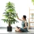 Import palm trees artificial artificial bonsai tree face tree artificial decor from China