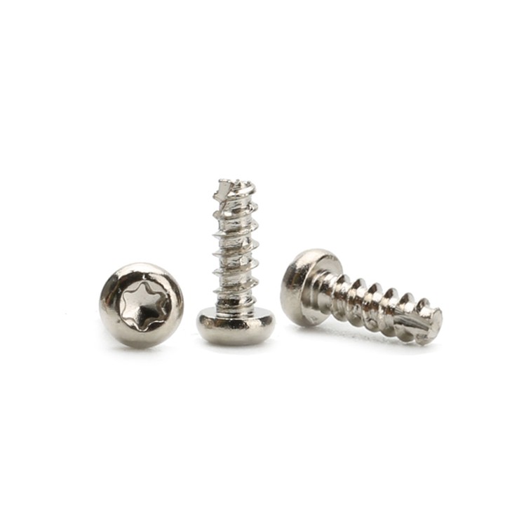 Pan head steel tiny screws  Torx Recessed PT Thread Forming Plastic Self Tapping Screw