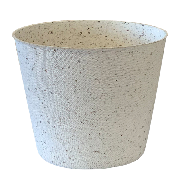 Buy Paper Cup Eco-friendly Non-plastic Biodegradable Seaweed Extract ...