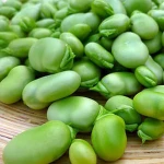 peeled dry broad bean China manufacturer