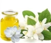 Perfume Jasmine Essential Oil Pure 100% Manufacturer Bulk Price Organic Aromatic Diffuser Jasmine Oil Egypt Wholesale