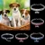 Import Pet Crystal Rhinestone Elastic Necklace Dog CZ Tennis Bone Necklace from China