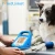 Import Pet hospital veterinary blood pressure monitor from China