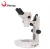 Import Phenix Zoom Ratio WF10X eyepiece 6.2X-50X Binocular Stereoscopic Top LED Light Microscope for Jewelry from China