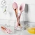 Import Pink Silicone Baking &amp; Pastry Tools Set Baking Tools And Accessories 1919 from China