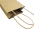 Plain Color Paper Twisted Handle Brown Paper Gift Bag