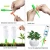 Import plant waterer self automatic watering system device spikes for flowers growing from China