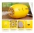 Import Portable lemon usb mini humidifier from China
