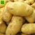 Import Potato fresh sweet potatoes high quality cheap price professional export wholesalers fresh potato from China