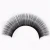 Import Private label glossy black rapid 0.03 0.05 0.07mm one by one volume lashes eyelash extension from China