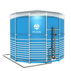 Puxin 15m3 Assembly Biogas from Manure Anaerobic Digestion